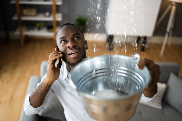 Best Water damage contractors near me  in East Sparta, OH