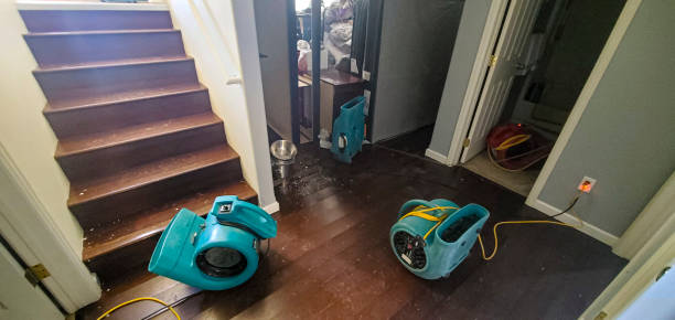 Best 24-hour water damage restoration  in East Sparta, OH