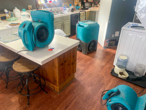 Best Water damage cleanup near me  in East Sparta, OH