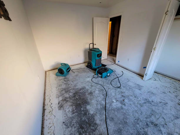 Best Emergency water damage restoration  in East Sparta, OH