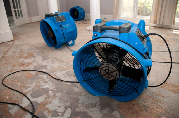 Best Flood restoration services  in East Sparta, OH