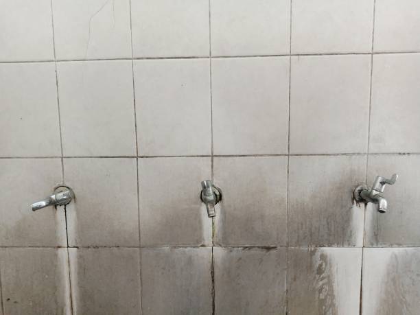 Best Carpet water damage restoration  in East Sparta, OH