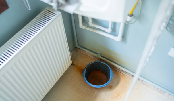 Best Water damage restoration near me  in East Sparta, OH