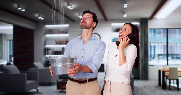 Best 24/7 water damage repair  in East Sparta, OH