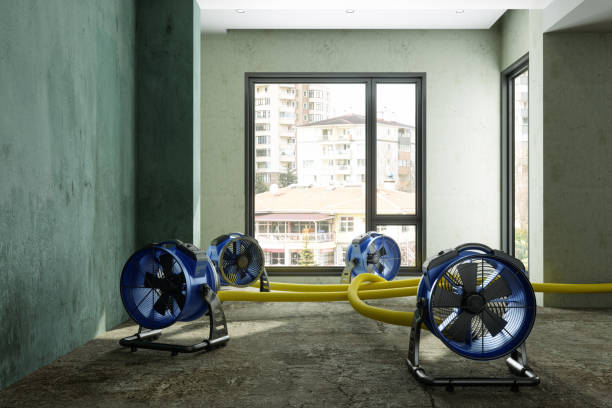 Best Local water damage restoration  in East Sparta, OH