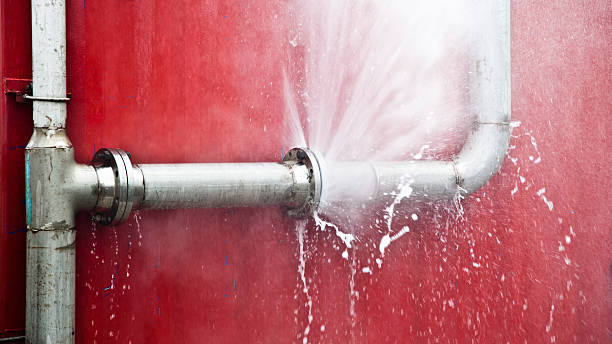 Best Local water damage restoration  in East Sparta, OH