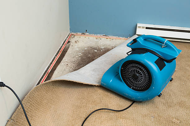 Best 24-hour water damage restoration  in East Sparta, OH