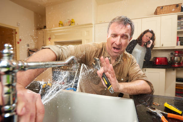 Best Water damage cleanup near me  in East Sparta, OH